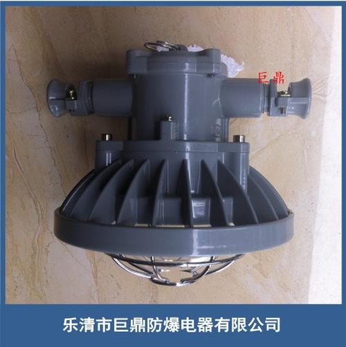 dgs24/127l 直销dgs24/127l矿用隔爆型巷道灯